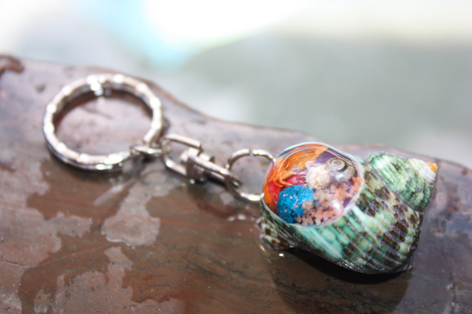 Keychain Seashell w/ Inlay Sea Life #4 - Aloha Keychain Keychain Seashell w/ Inlay Sea Life #4 - Aloha Keychain